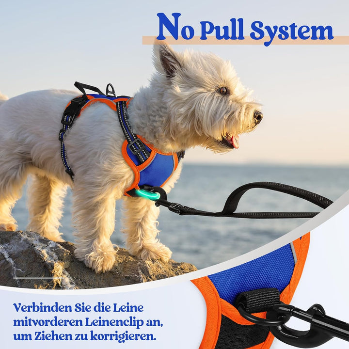 rabbitgoo Hundegeschirr Kleine Hunde Anti Zug Geschirr Hund mit Kontrolle No Pull Verstellbar Hundeg
