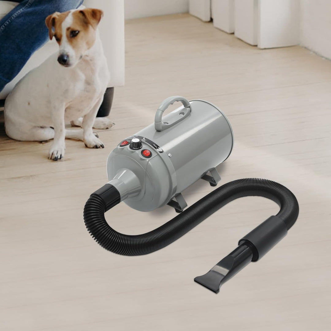 Hundefön Blower mit 4 Düsen - 2200W Profi Blower Hund, Leiser Hundepflege Trockner Gebläse für Hunde