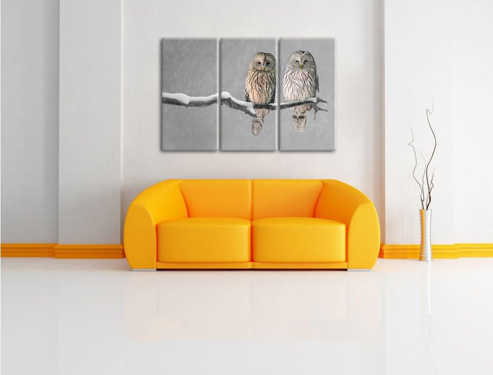 Pixxprint Zwei Eulen in Winterlandschaft als Leinwandbild | Grösse: 3 Teilig (120x80) | Wandbild| Ku