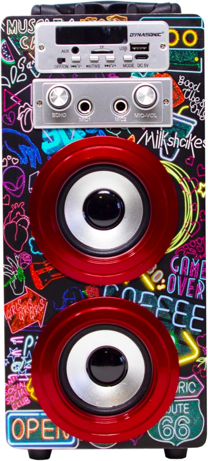 DYNASONIC Karaoke mit 2 Mikrofonen, tragbarer Karaoke-Maschine, Bluetooth-Lautsprecher, USB- und SD-