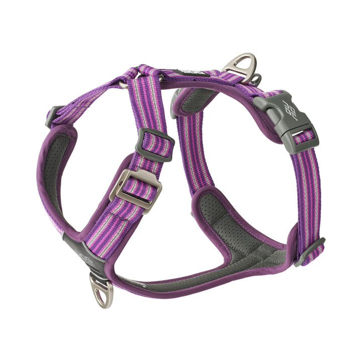 DOG Copenhagen Comfort Walk Air 3.0 Hundegeschirr - Geschirr für Hunde - Welpengeschirr, Purple Pass