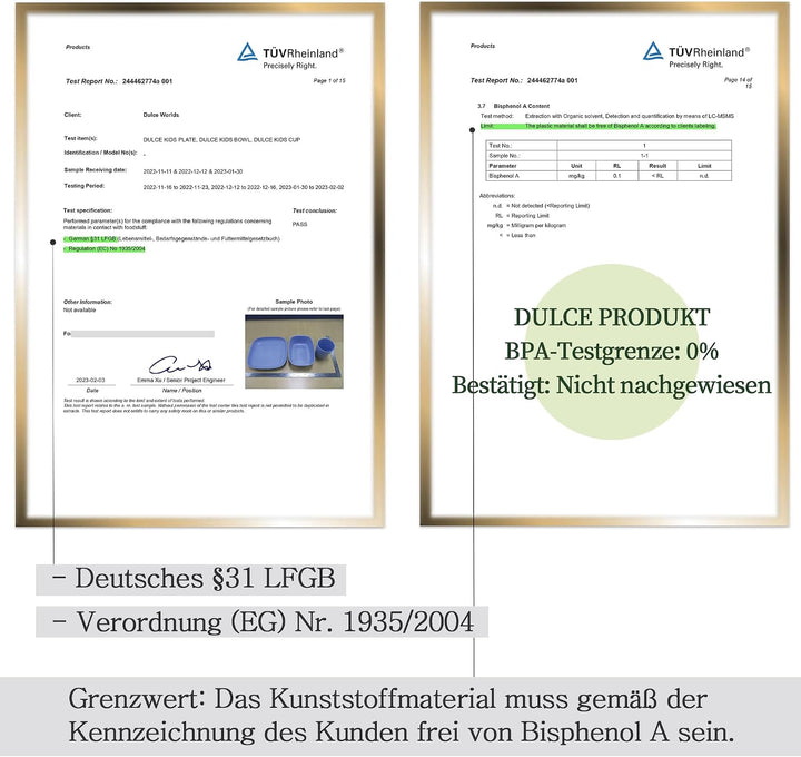 ZUCKERROHR Kinder Teller 5er Pack (20 cm) - Bio Geschirr für Kleinkinder - LFGB &amp; USDA zertifiziert