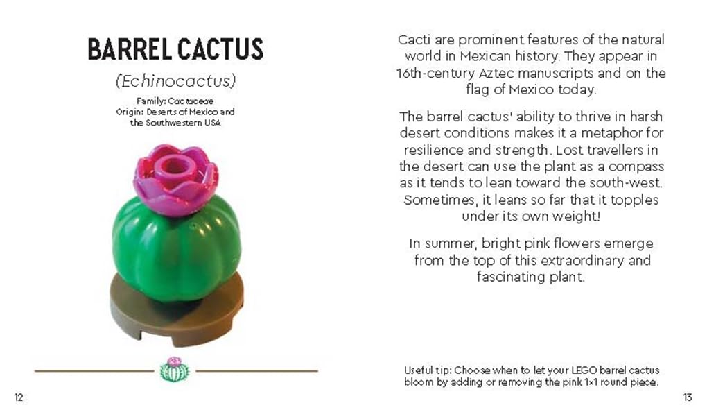 LEGO® Botanicals™: Tiny Desert Garden, Gebundenes Buch