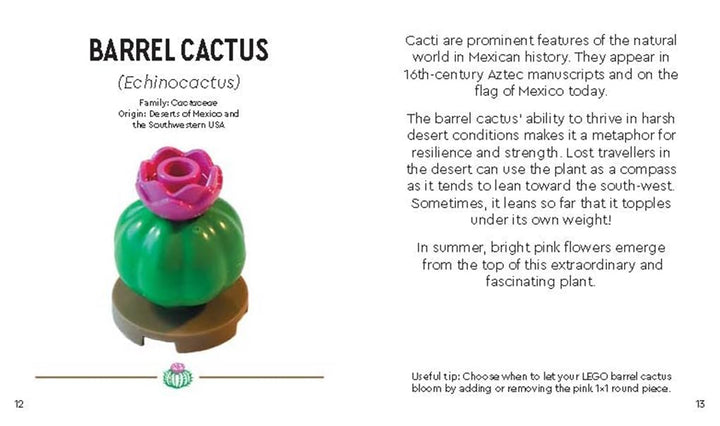 LEGO® Botanicals™: Tiny Desert Garden, Gebundenes Buch