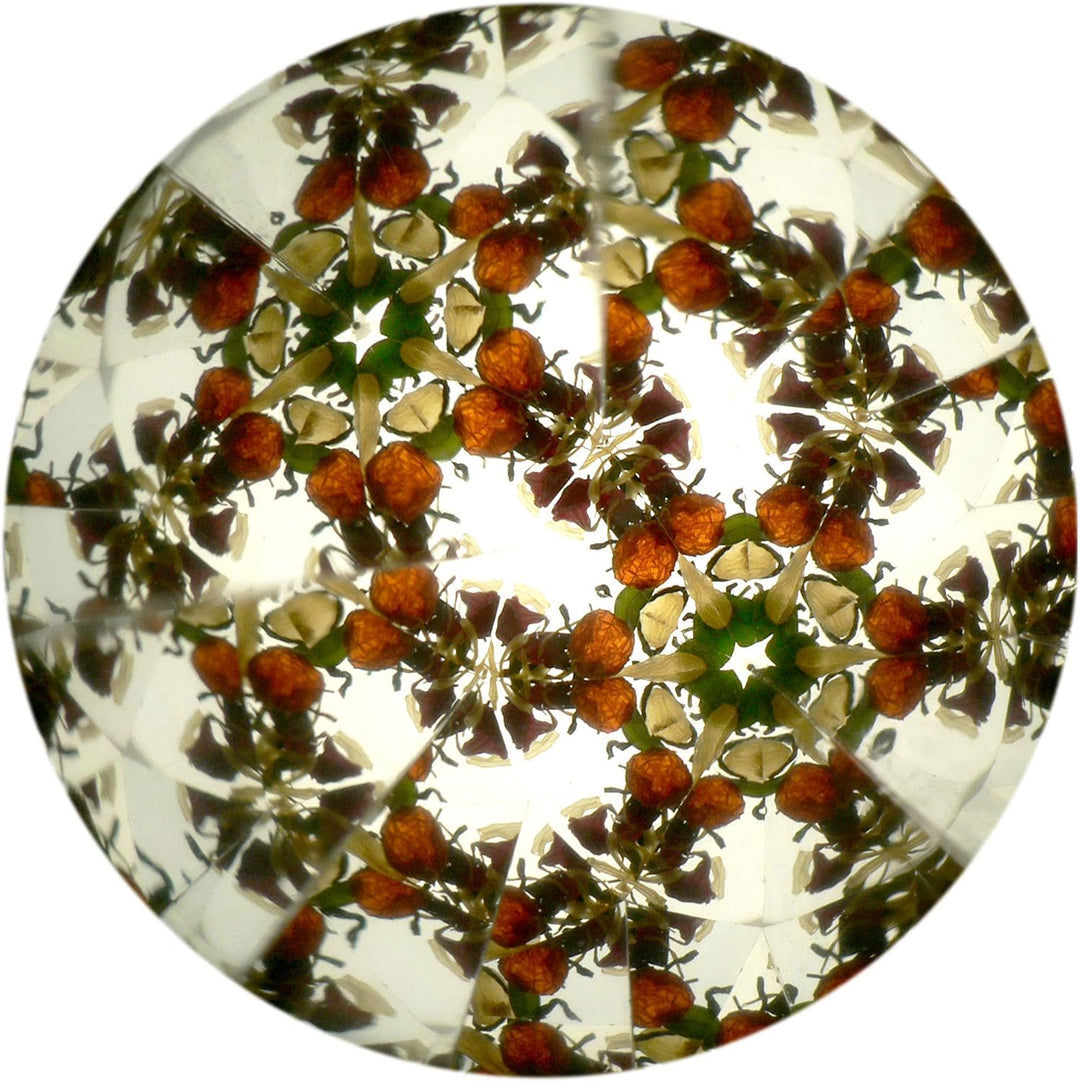 Kaleidoskop Konstruktor für Kinder, originales Design mit Blumen, natürliche Materialien, Spielzeug,