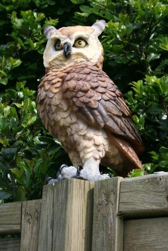 colourliving Dekofigur Eule Uhu Greifvogel Gartenfigur Tierfigur Gartendekoration Vogeldeko