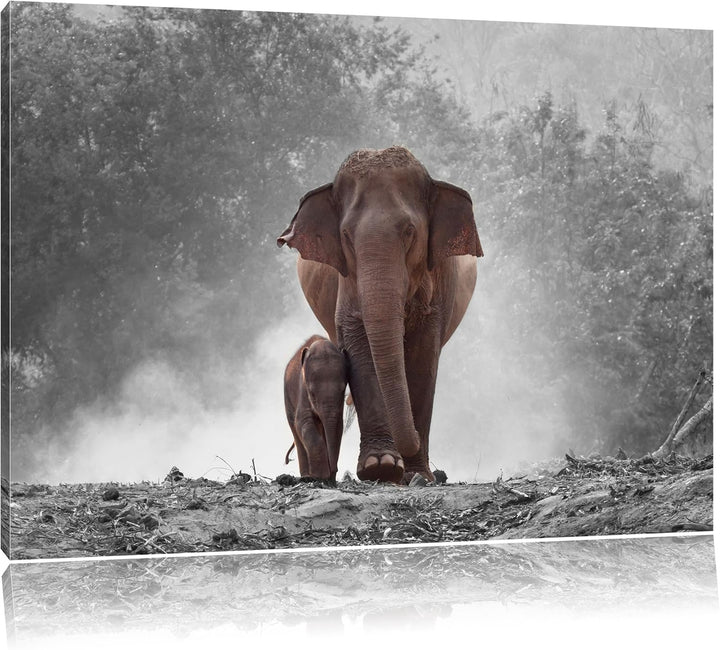 Pixxprint Elefanten Baby Mama / 100x70cm Leinwandbild bespannt auf Holzrahmen/Wandbild Kunstdruck De