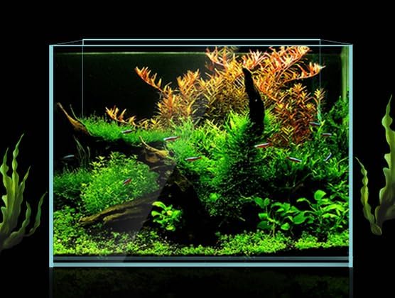 Würfel Fischglas 15 * 11 * 13CM - Ultraweisses Glas Aquarium | Kompakt Becken für Heimdekoration 15*