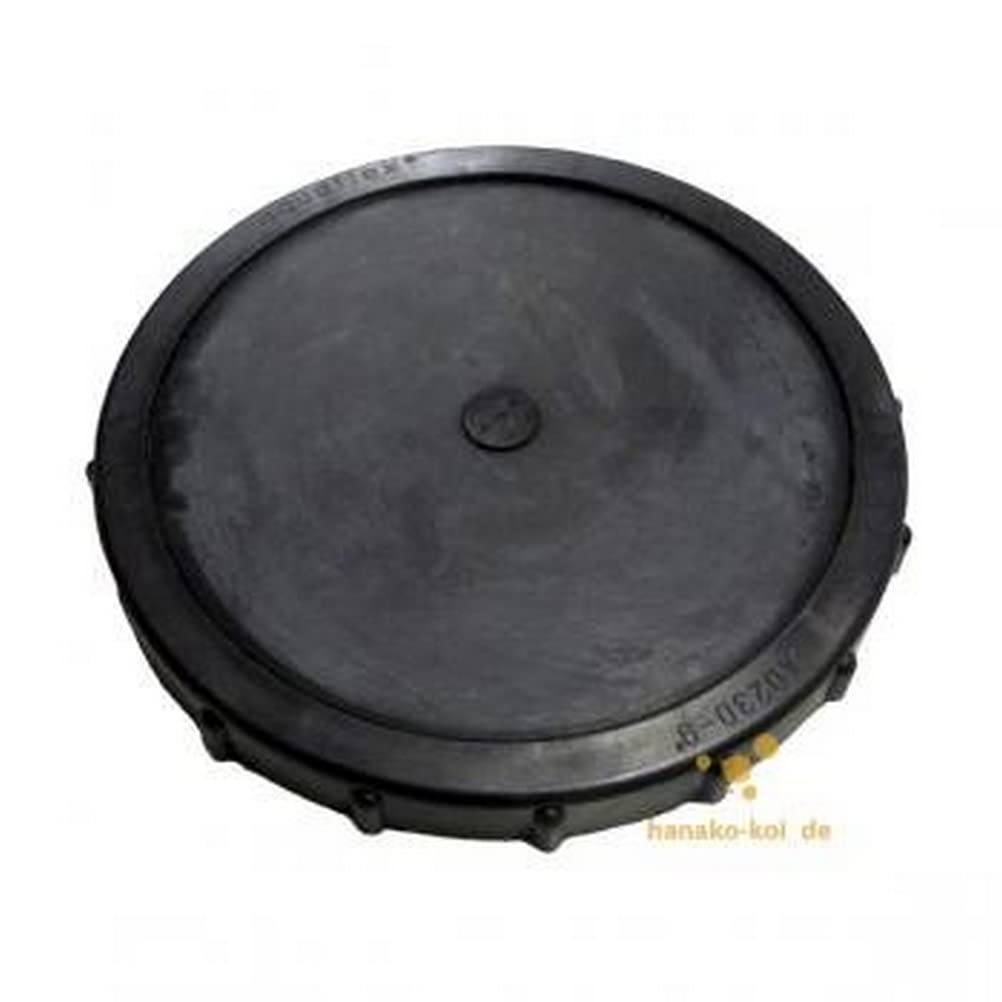 AquaForte professionelle Membranbelüftung Scheibe, 25 cm, 3/4 Zoll AG, 33-133l/min