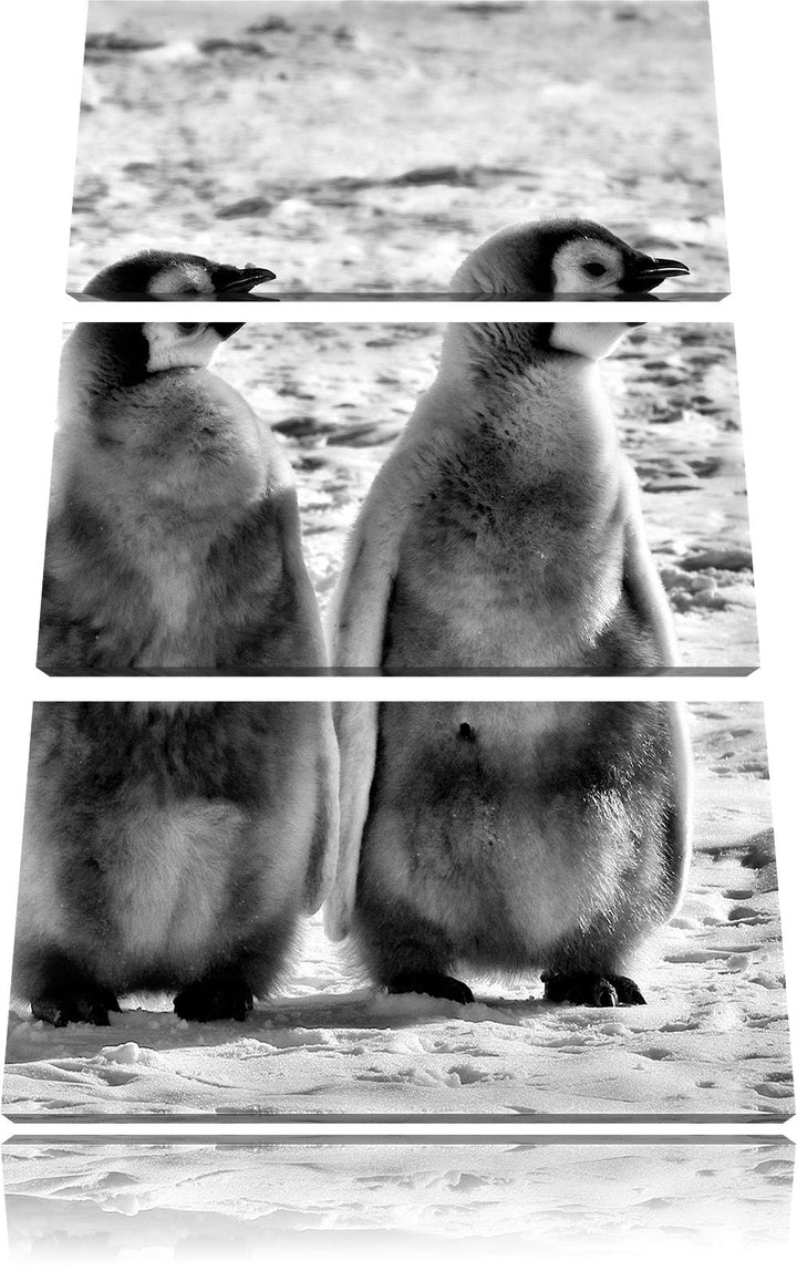 Pixxprint Monocrome, Vier Kaiserpinguin-Küken 3-Teiler Leinwandbild 120x80 Bild auf Leinwand
