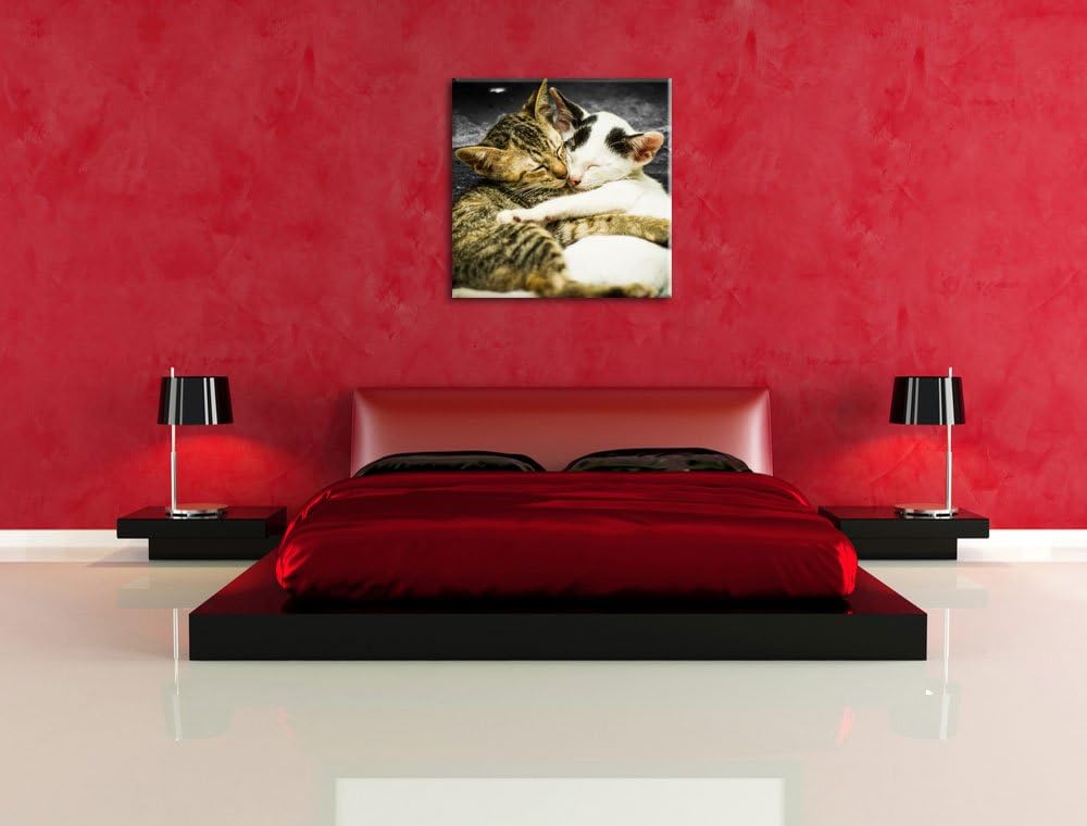 Pixxprint Liebende Kätzchen als Leinwandbild/Grösse: 70x70 cm/Wandbild/Kunstdruck/fertig bespannt, 7
