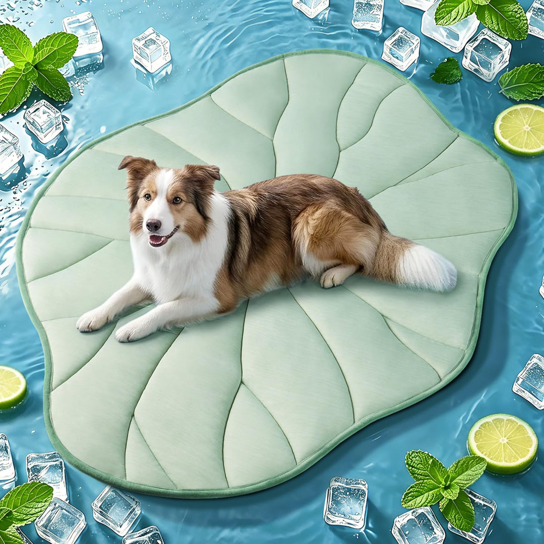 BG-BABYGO Hundekühlmatte, Reversibel, Selbstkühlend, Arc-Chill Kühlpad für Kleine und Mittelgrosse H