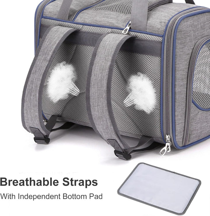 PETCUTE Transportbox für Hunde und Katzen,Katzenrucksack Hunderucksack,Atmungsaktiv Haustier Rucksac