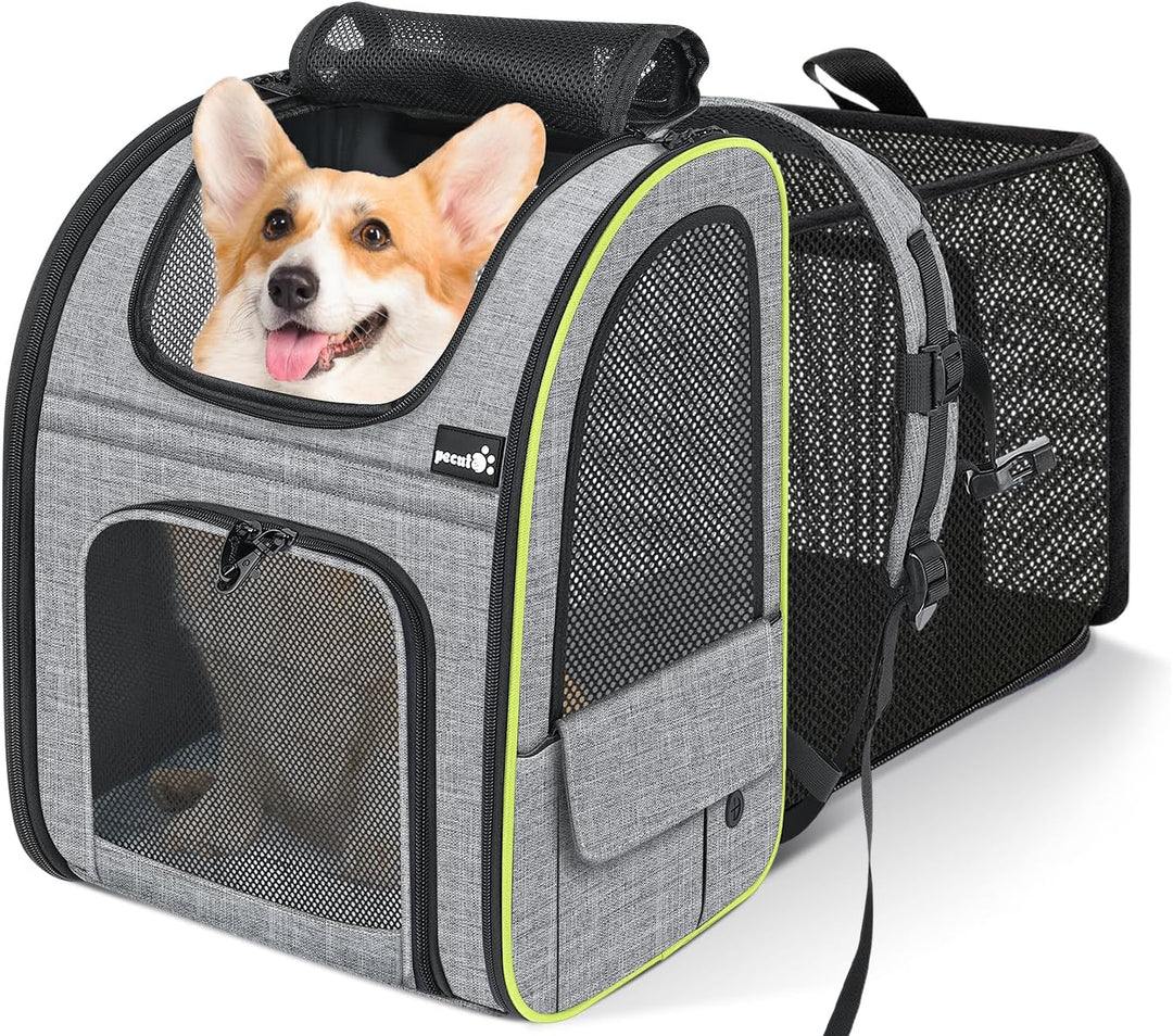 pecute Hunderucksack Erweiterbar, Faltbar Katzenrucksack Katzen mit Anti-offener Reissverschluss, Ru