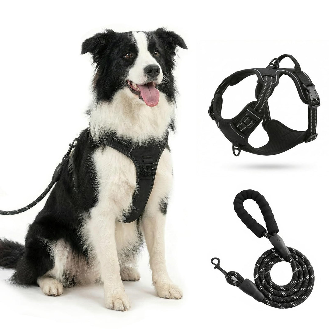 Hundegeschirr mit Griff， mittelgrosse & Grosse Hunde - Hunde Geschirr，Atmungsaktiv Reflexstreifen Br