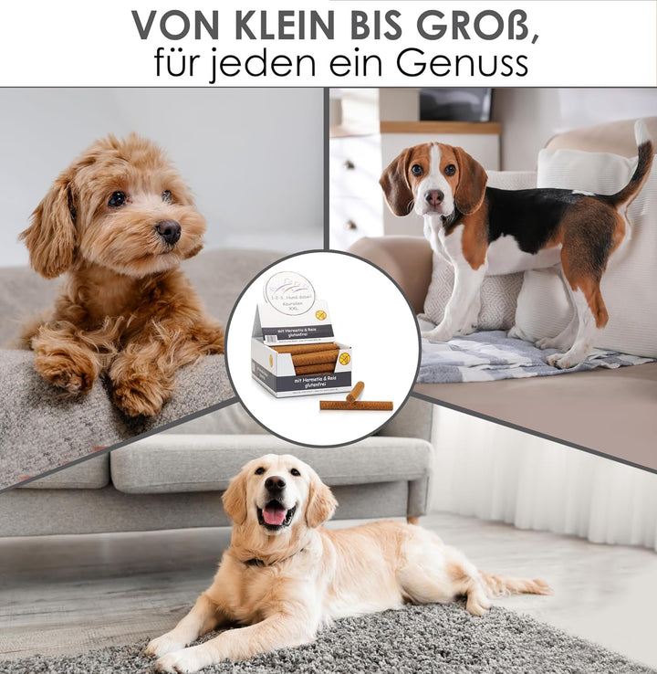 123... Hund dabei! - Kaurollen XXL 50er Tray (Hermetia/Insekten) - Dentalkaurolle - Glutenfrei - Vor