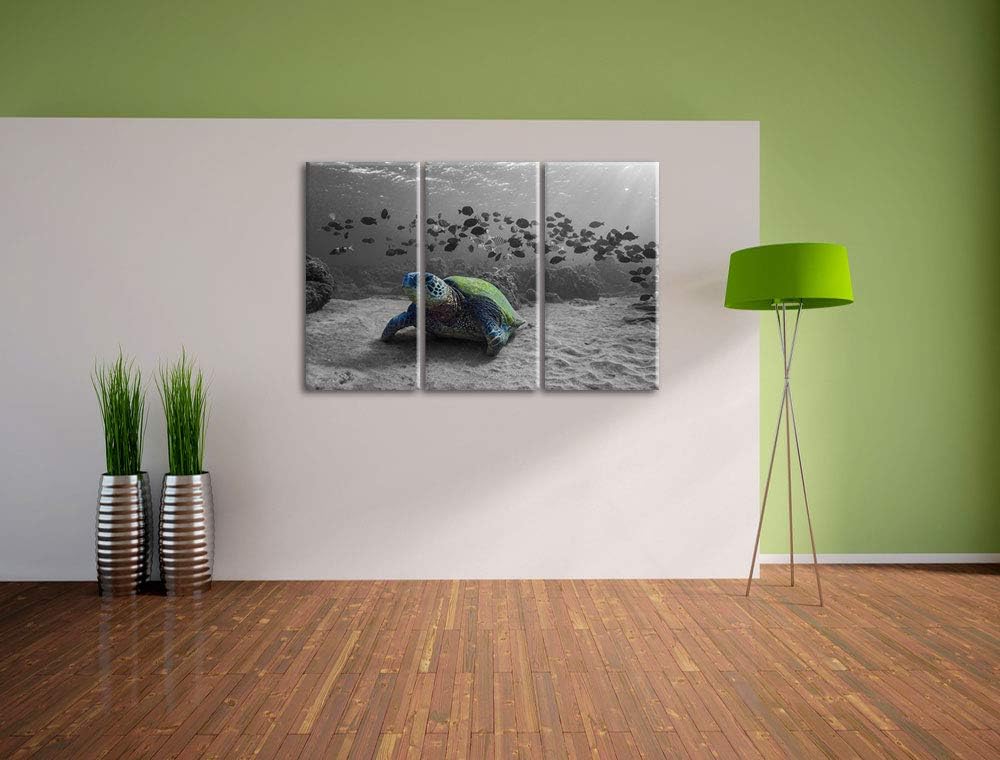 Pixxprint Schildkröte im Ozean als Leinwandbild | Grösse: 3 Teilig (120x80) | Wandbild| Kunstdruck |