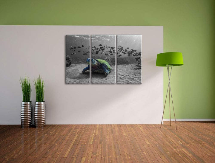 Pixxprint Schildkröte im Ozean als Leinwandbild | Grösse: 3 Teilig (120x80) | Wandbild| Kunstdruck |