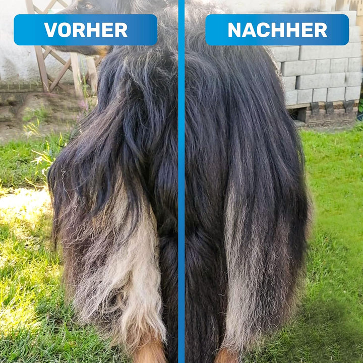 BluePet GlanzTanz Fellentwirrer Entfilzer für Langhaar Hunde und Katzen - Hochwertiger Hundestriegel