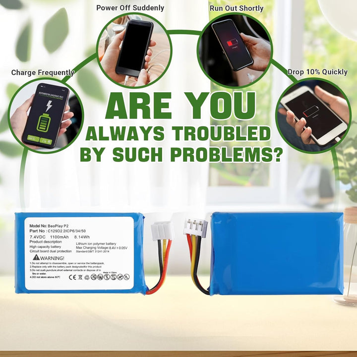 Neu 1100mAh C129D2 Akku Ersatz Kompatibel mit BeoPlay P2 Bang & Olufsen Bluetooth Lautsprecher Ersat