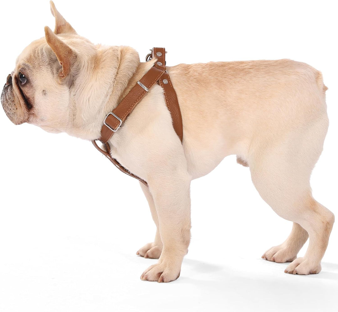 Hundegeschirr Leder Softgeschirr Verstellbare Brustgeschirre Norweger Haustier Ledergeschirr Weichem
