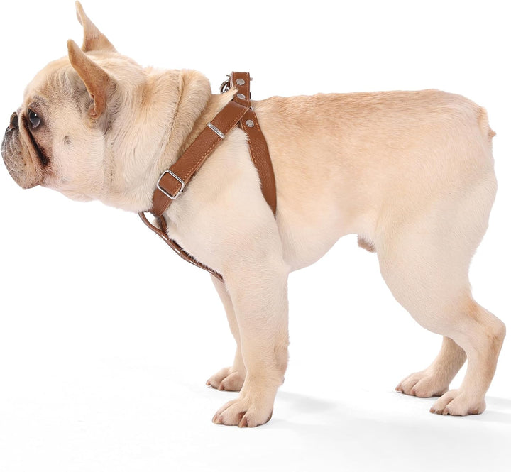 Hundegeschirr Leder Softgeschirr Verstellbare Brustgeschirre Norweger Haustier Ledergeschirr Weichem