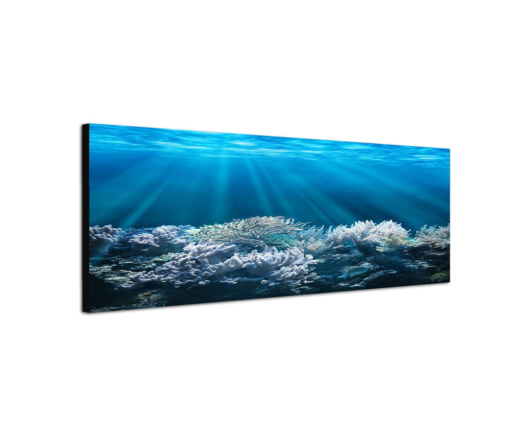 Augenblicke Wandbilder Keilrahmenbild Wandbild 150x50cm Meer Unterwasser Korallen Sonnenstrahlen