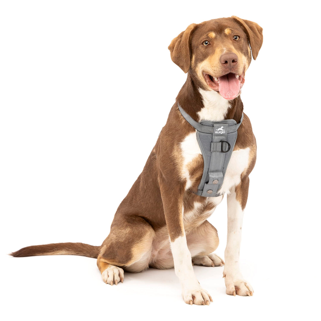 Kurgo Tru-Fit Hundegeschirr, Crash-Test-erprobtes Auto-Sicherheitsgurt, Für Hunde von 2 bis 5 kg, Gr