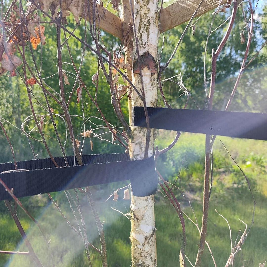 Baumstütze Komplettset Rankhilfe Baumpfahl ø 6cm Länge: 200 cm Pflanzenhalter 3 x Holzpfosten 3X Sch