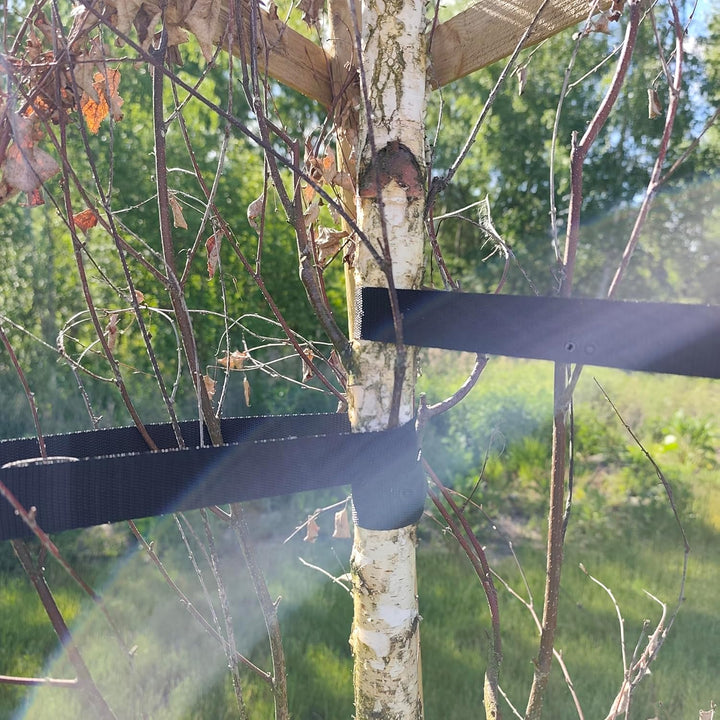 Baumstütze Komplettset Rankhilfe Baumpfahl ø 6cm Länge: 200 cm Pflanzenhalter 3 x Holzpfosten 3X Sch