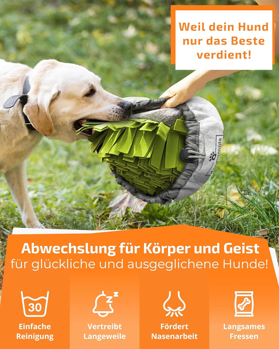 DOGPARENTS® Schnüffelteppich Hund klein & gross – Schnüffelmatte Hund ROBUSTER Hunde Schnüffelteppic