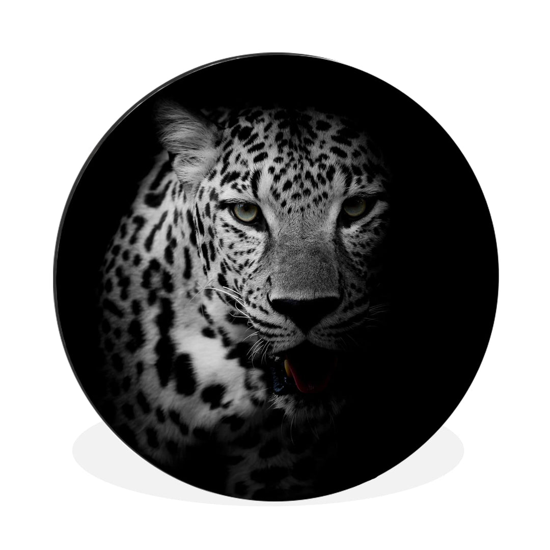MuchoWow Wandbild Rund Wanddeko Deko Wohnzimmer Bilder 30x30 cm Tiere - Schwarz - Weiss - Panther -