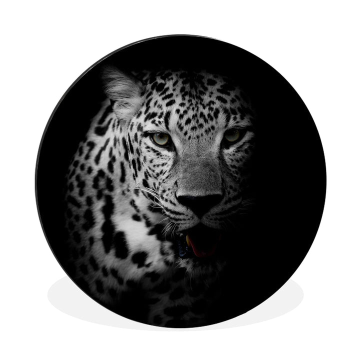 MuchoWow Wandbild Rund Wanddeko Deko Wohnzimmer Bilder 30x30 cm Tiere - Schwarz - Weiss - Panther -