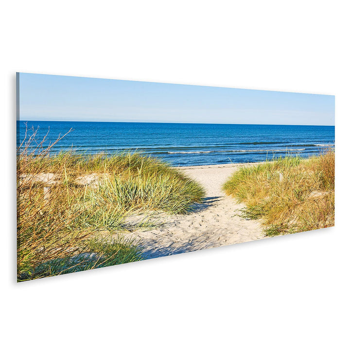 islandburner Bild auf Leinwand Weg Zum Strand An Ostsee Mit Strandhafer Bilder Wandbilder Poster Lei