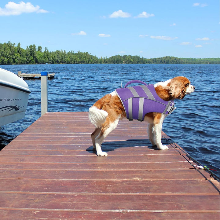 Kuoser Schwimmweste Hund, Haltbarkeit Hundeschwimmweste, Hervorragender Auftrieb Schwimmweste Hund k
