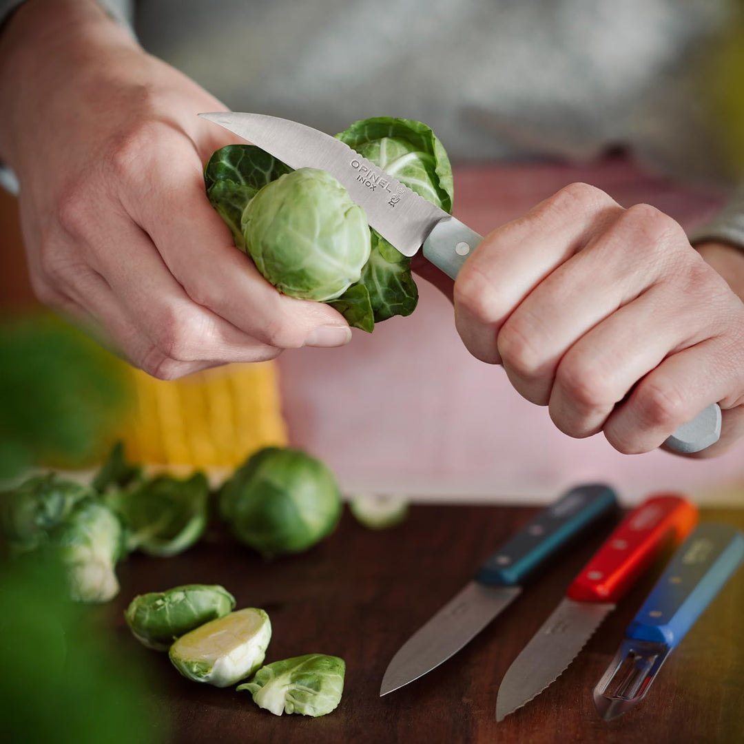 Opinel Essentiels Küchenmesser-Set DU CUISINIER, 4-teilig aus rostfreiem Stahl, 254643