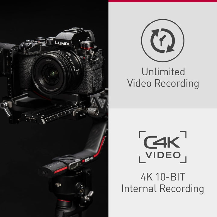Panasonic DC-S5DWE-K Lumix S5D Vollformatkamera, L-Mount, 24,2 MP, 4K 60P Videoaufnahme, Live View S