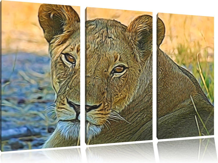 schöne Löwin im Wildgras NewArt 3-Teiler Leinwandbild 120x80 Bild auf Leinwand, XXL riesige Bilder f