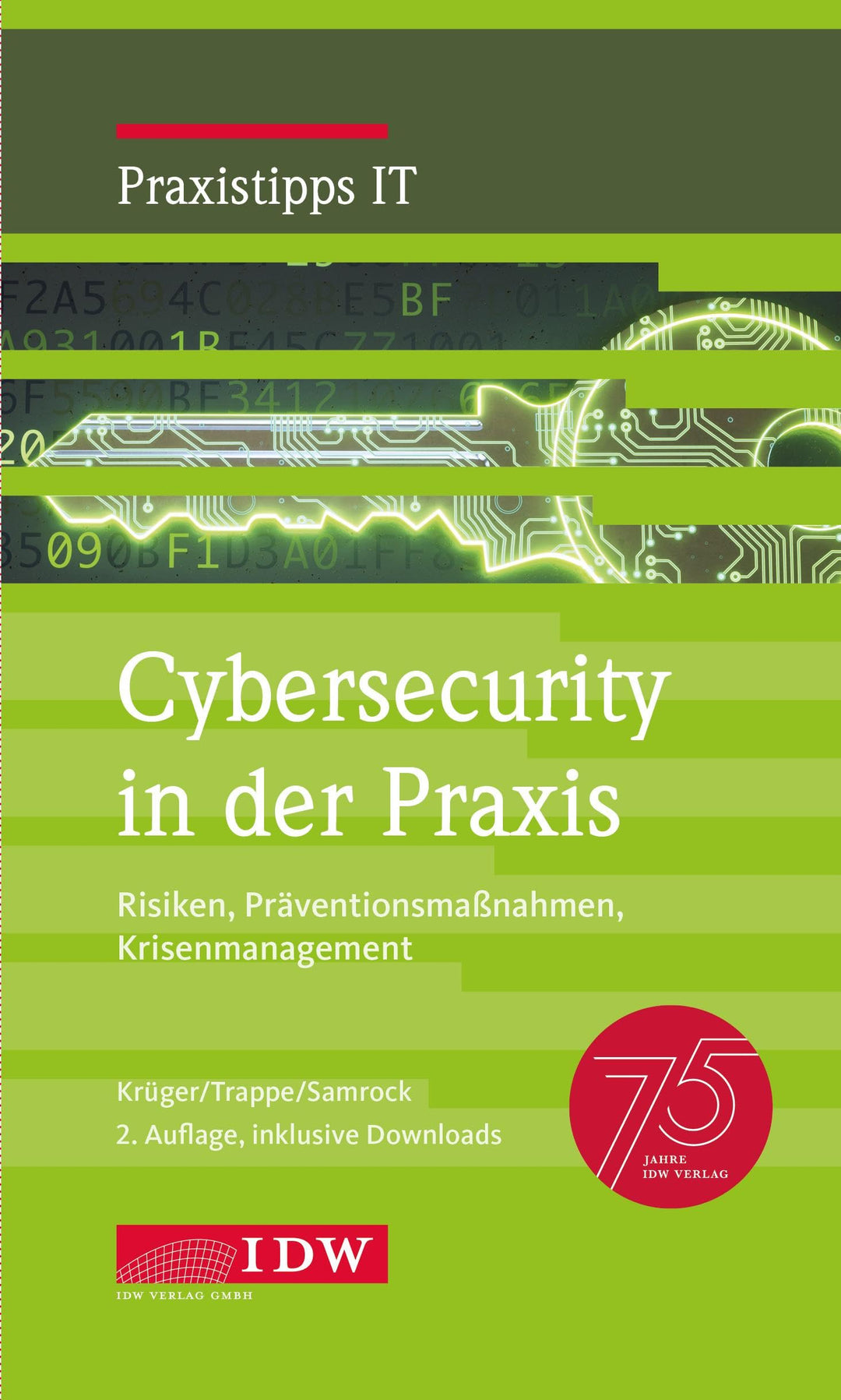 Cybersecurity in der Praxis, 2. Auflage: Risiken, Präventionsmassnahmen, Krisenmanagement (IDW Praxi