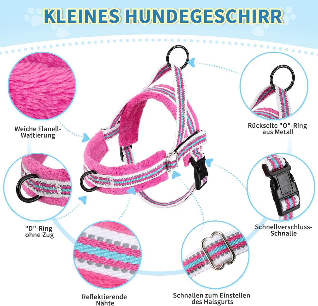 Eyein No-Pull Hundegeschirr mit Leine, Geschirr mit Weich Gepolstertes, Reflektierend, Verstellbares