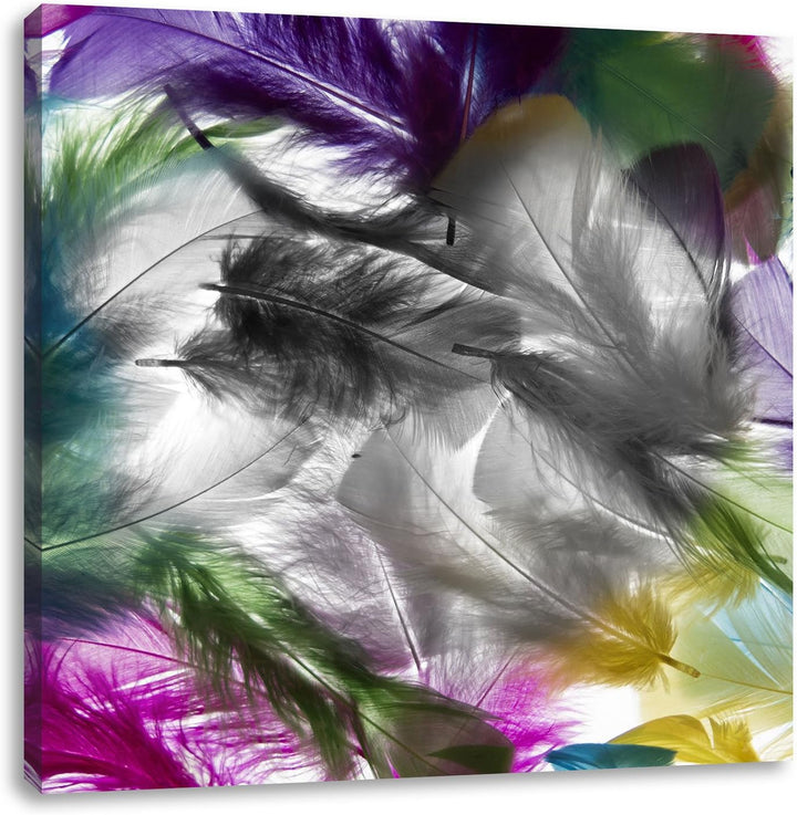 Pixxprint Anordnung von schönen bunten Federn Schwarz/Weiss, Format: 70x70 auf Leinwand, 70x70