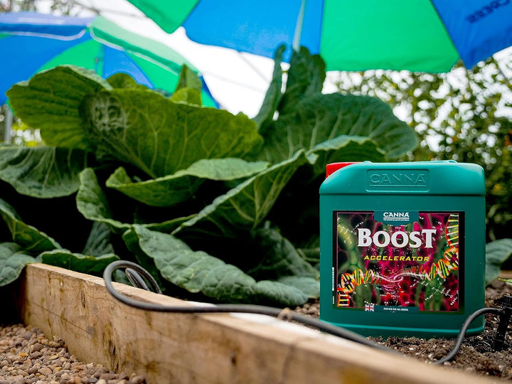 Canna Boost Accelerator 5 L, 5 L