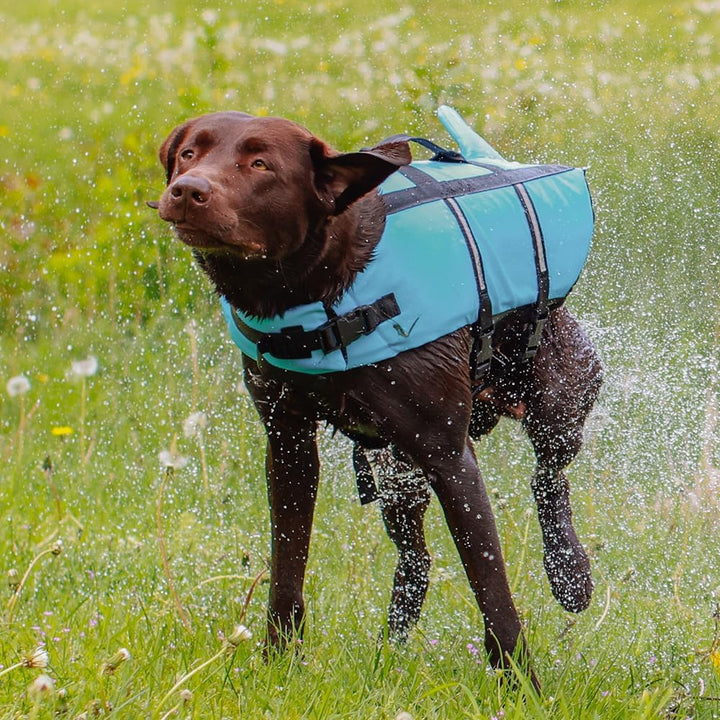 Nobby Hunde Schwimmweste Sharky - verstellbare Brust- und Bauchgurte - Schwimmhilfe - Rettungsweste