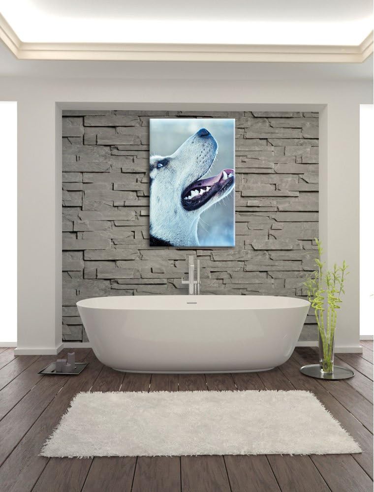 Husky von der Seite, Format: 100x70 auf Leinwand, XXL riesige Bilder fertig gerahmt mit Keilrahmen,