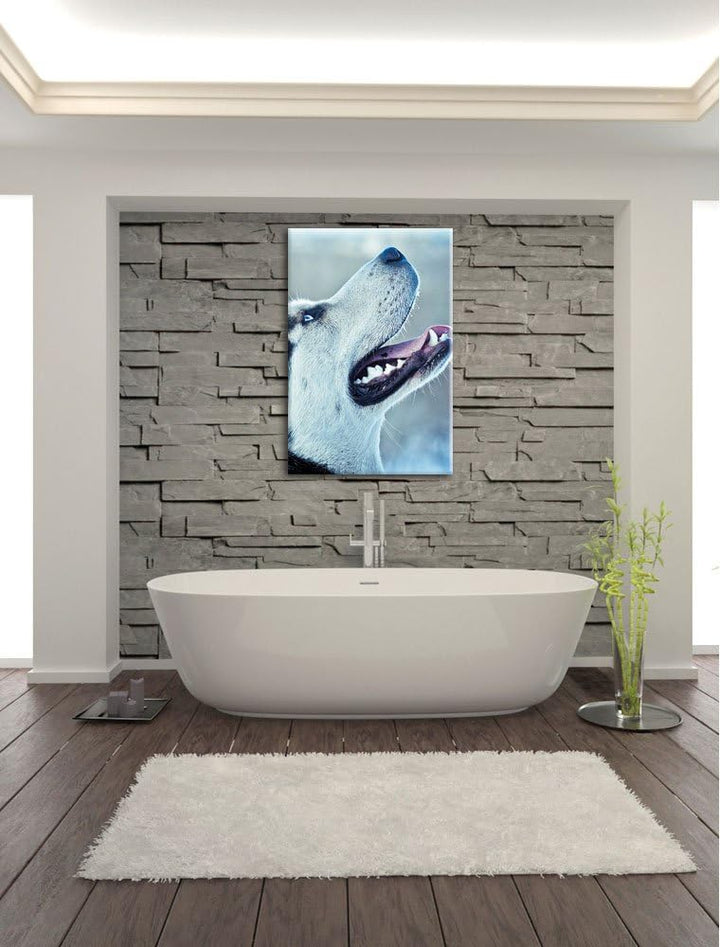 Husky von der Seite, Format: 100x70 auf Leinwand, XXL riesige Bilder fertig gerahmt mit Keilrahmen,