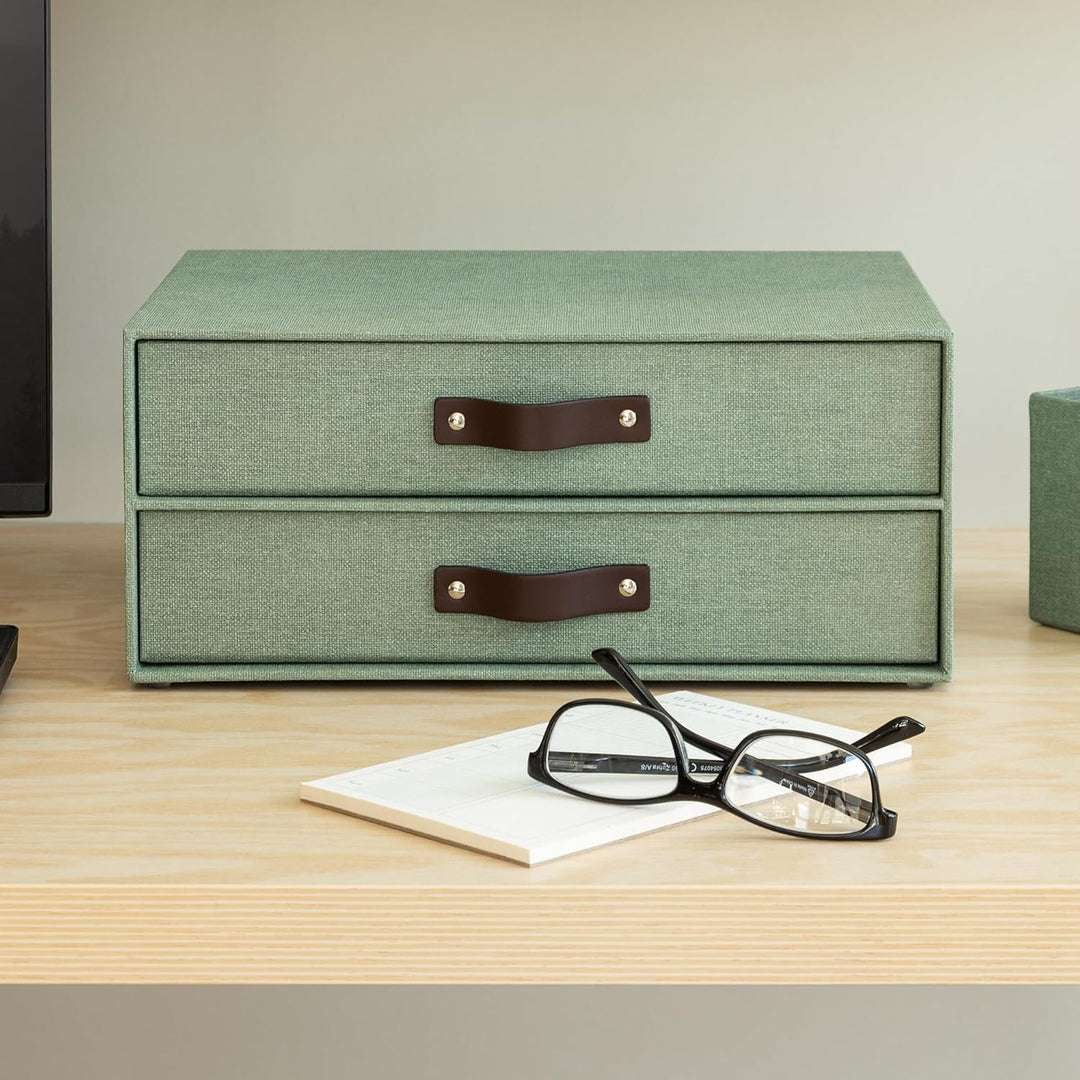 BIGSO BIRGER Schubladenbox – Aufbewahrungsbox mit 2 Schubladen – Schreibtisch Ablage für Dokumente &