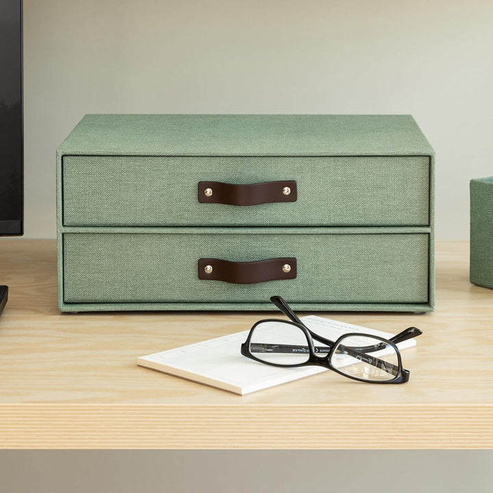 BIGSO BIRGER Schubladenbox – Aufbewahrungsbox mit 2 Schubladen – Schreibtisch Ablage für Dokumente &