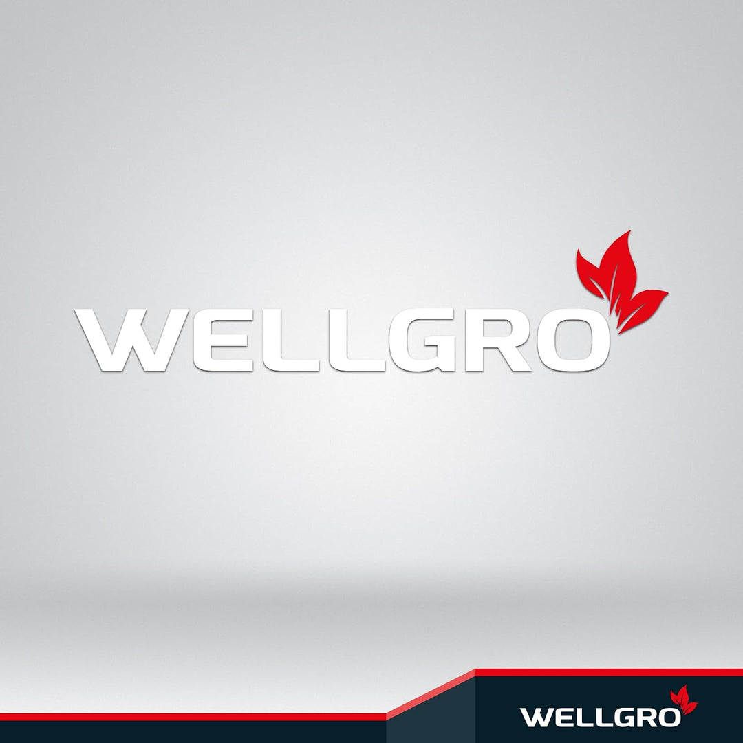 WELLGRO 2x Wand Fahrradhalter - Stahl - Tragkraft bis 30 kg - Wandmontage - Fahrrad Ständer - klappb