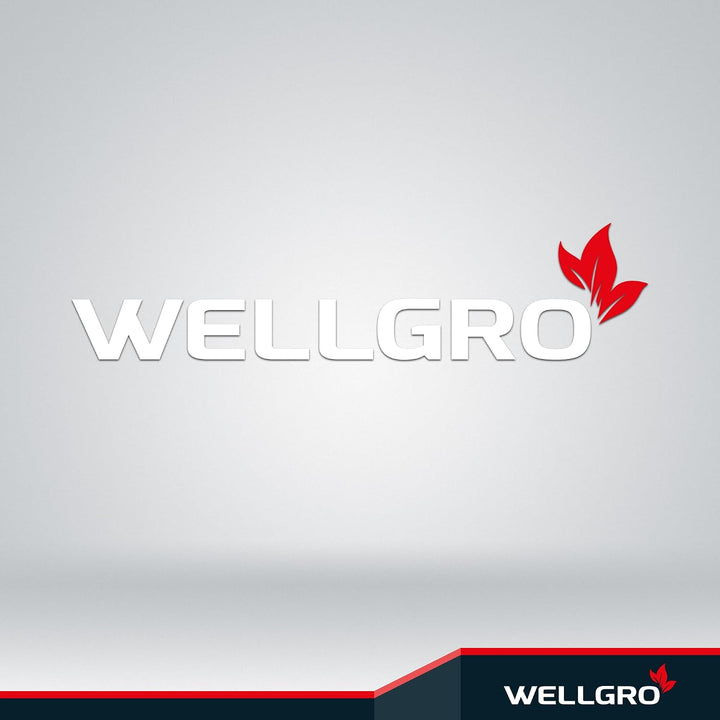 WELLGRO 2x Wand Fahrradhalter - Stahl - Tragkraft bis 30 kg - Wandmontage - Fahrrad Ständer - klappb