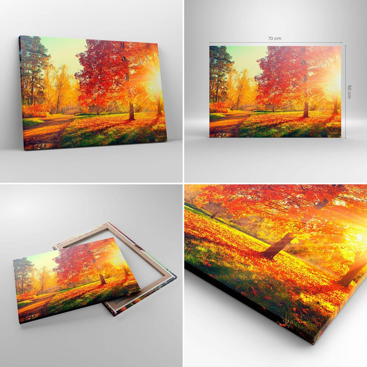 Bilder auf Leinwand Park Herbst Baum Leinwandbild mit Rahmen 70x50cm Wandbilder Dekoration Wohnzimme